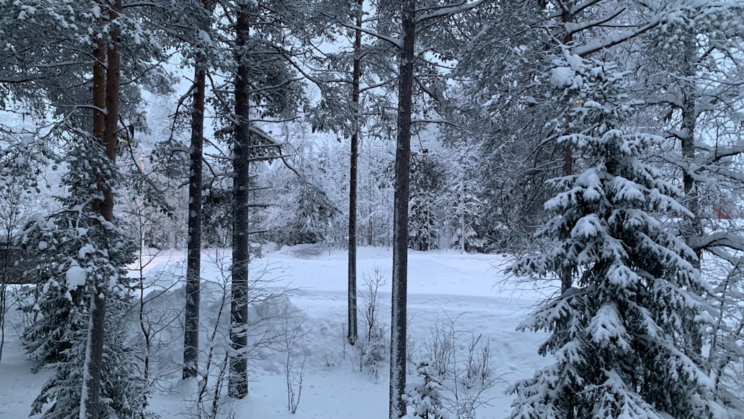 Het bijzondere weer in Finland: van lange winters tot milde zomers