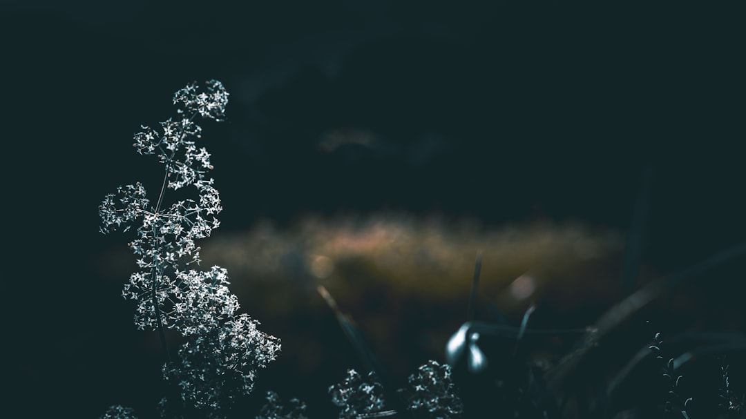 Het indrukwekkende vermogen van Jutta Leerdam in beeld