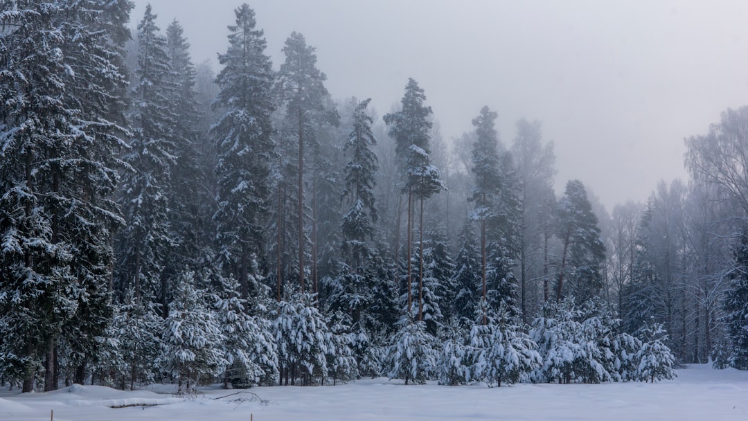 Twee officiële talen in Finland: Fins en Zweeds