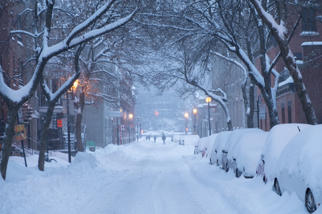Winterweer forum: hier praat je mee over sneeuw, ijs en kou
