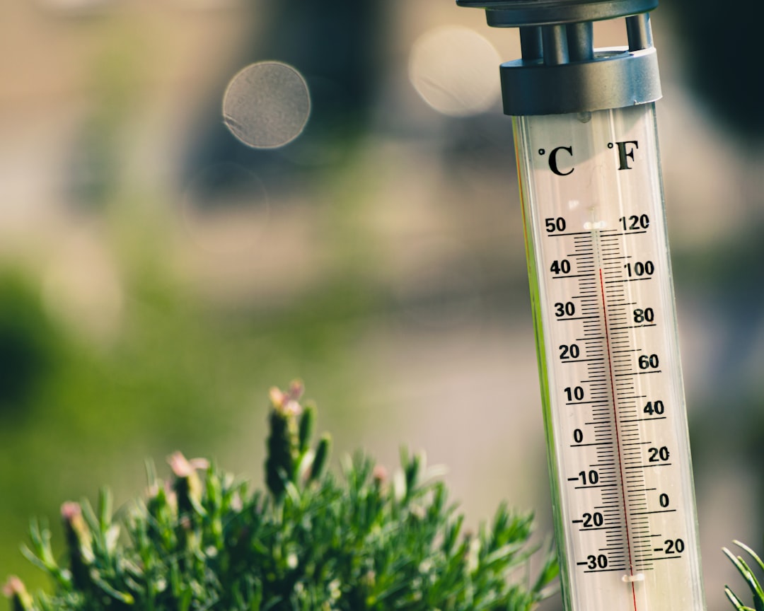 Temperatuur Lapland in maart: wat kun je verwachten?