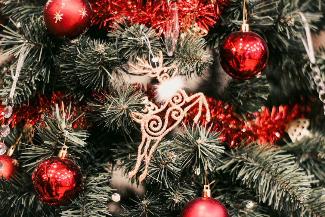 Hoe heten de rendieren van de kerstman? Namen en verhalen op een rij